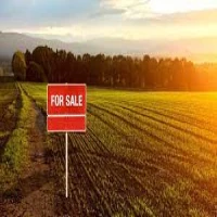 شراء الأراضي التجارية: نصائح وطرق استغلال